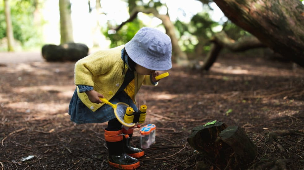 Child exploring in a forest